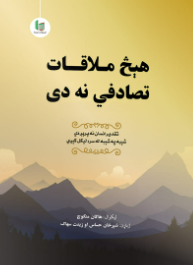 Hīṡ molāqāt taṣādofī nah dy