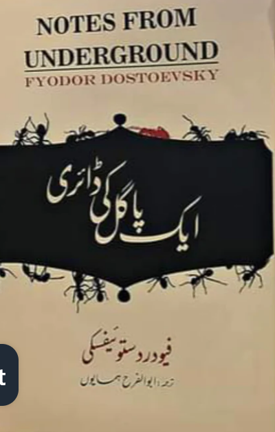 Ik pāgal kī dāyrī