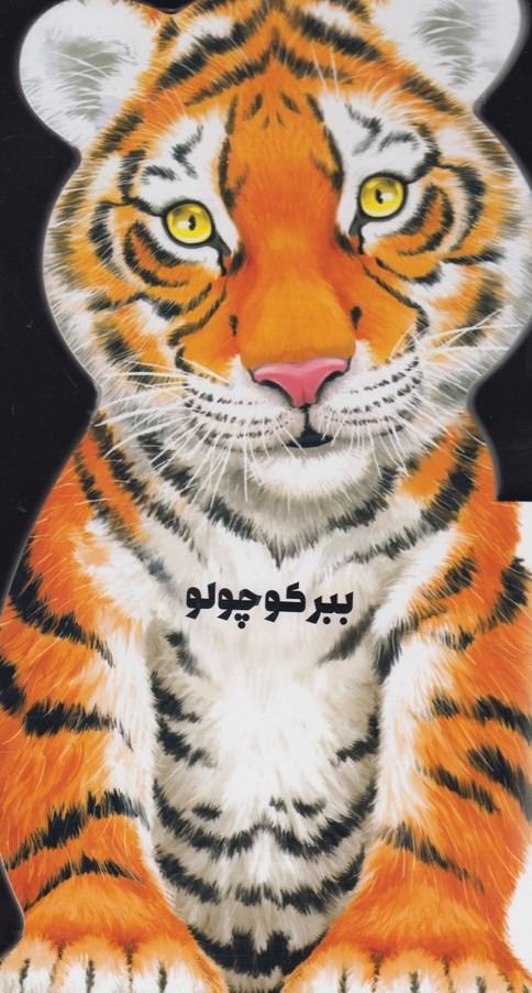 Babr Kūchūlū