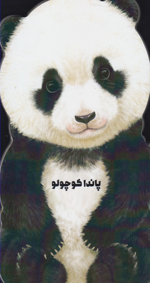 Pāndā Kūchūlū