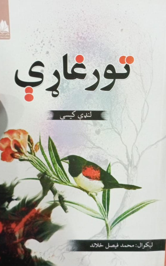 Tūr ghārī
