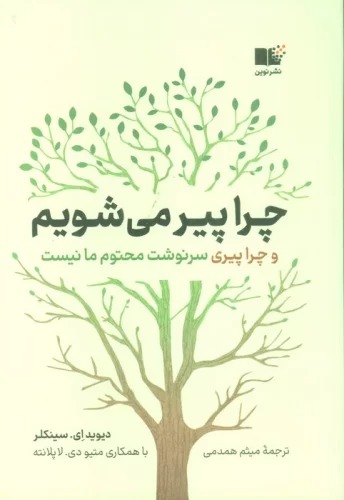 Chirā Pīr Mī'shavīm