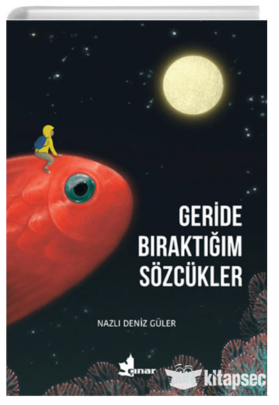 Geride Biraktigim