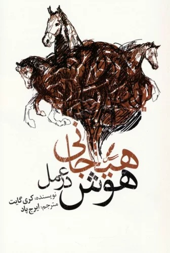 Hūsh-i Hayijānī dar 'Amal