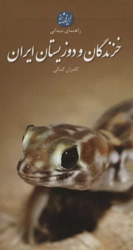Khazandigān va Du'zīstān-i Īrān