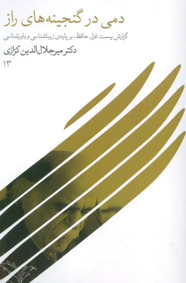 Damī dar Ganjīnah'hā-yi Rāz