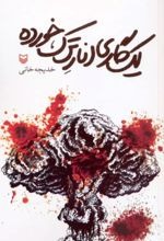Yik Gārī Anār-i Tarak'khurdah