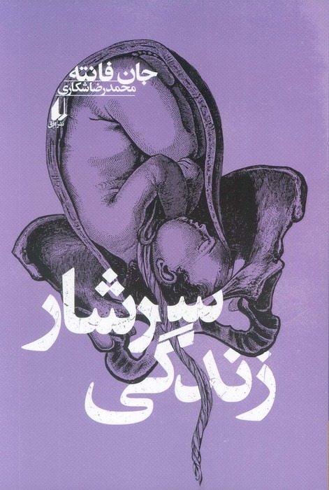 Sarshār-i Zindigī