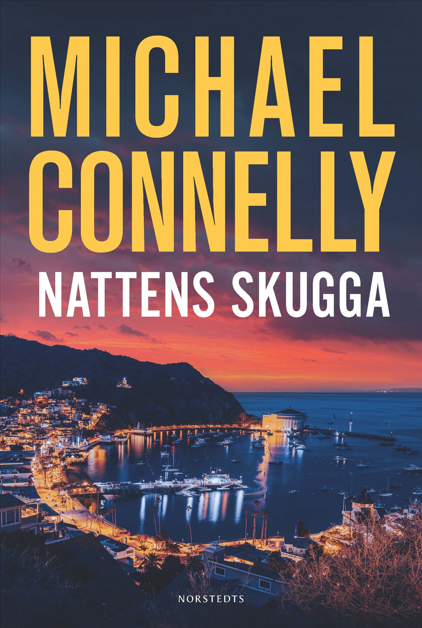 Nattens skugga
