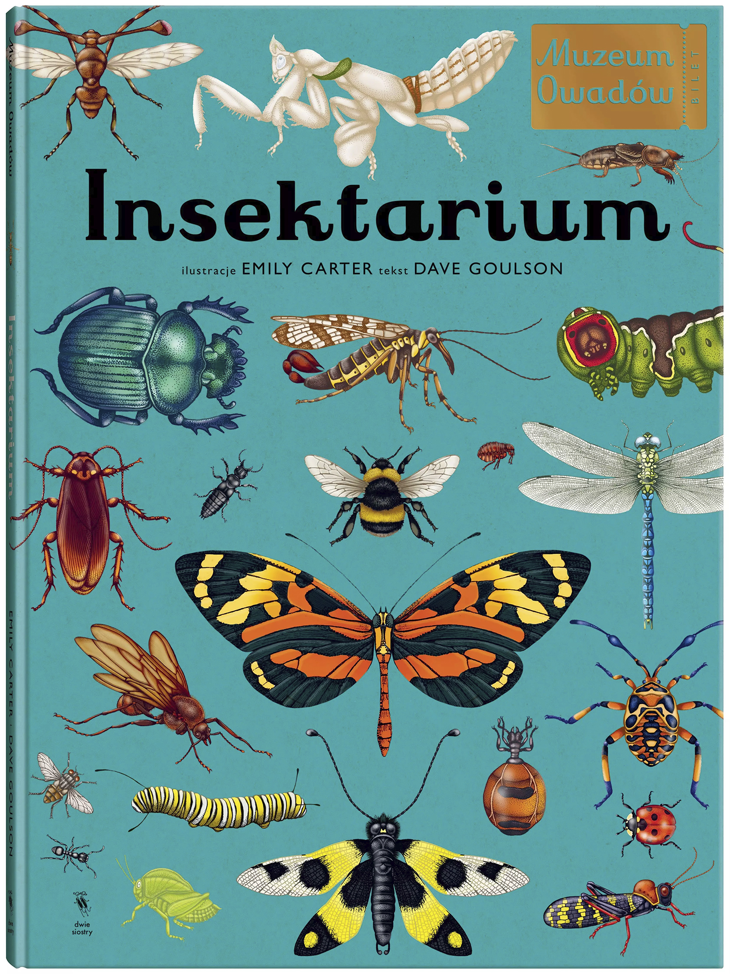 Insektarium. Muzeum Owadów