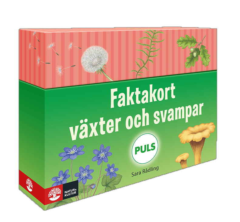 PULS Faktakort växter och svampar