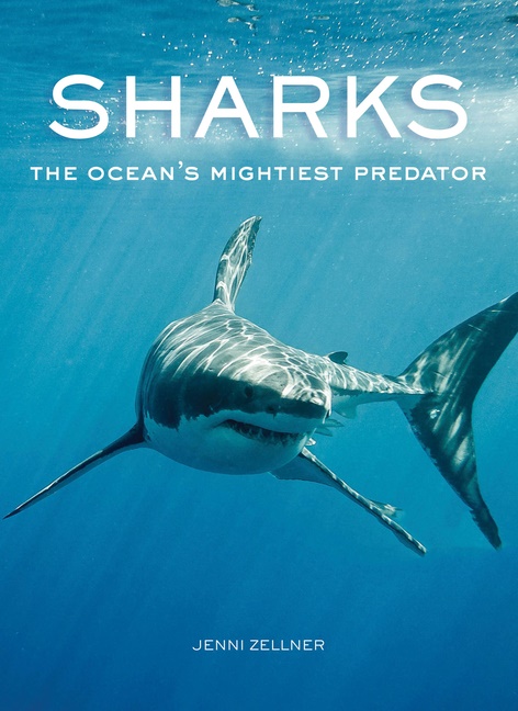 Sharks