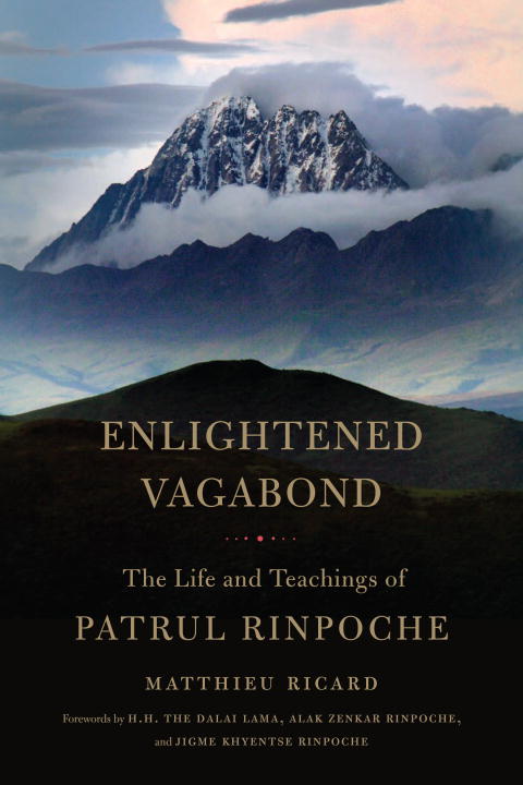 Enlightened vagabond