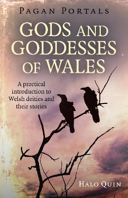 Pagan portals - gods and goddesses of wales - a practical introduction to w