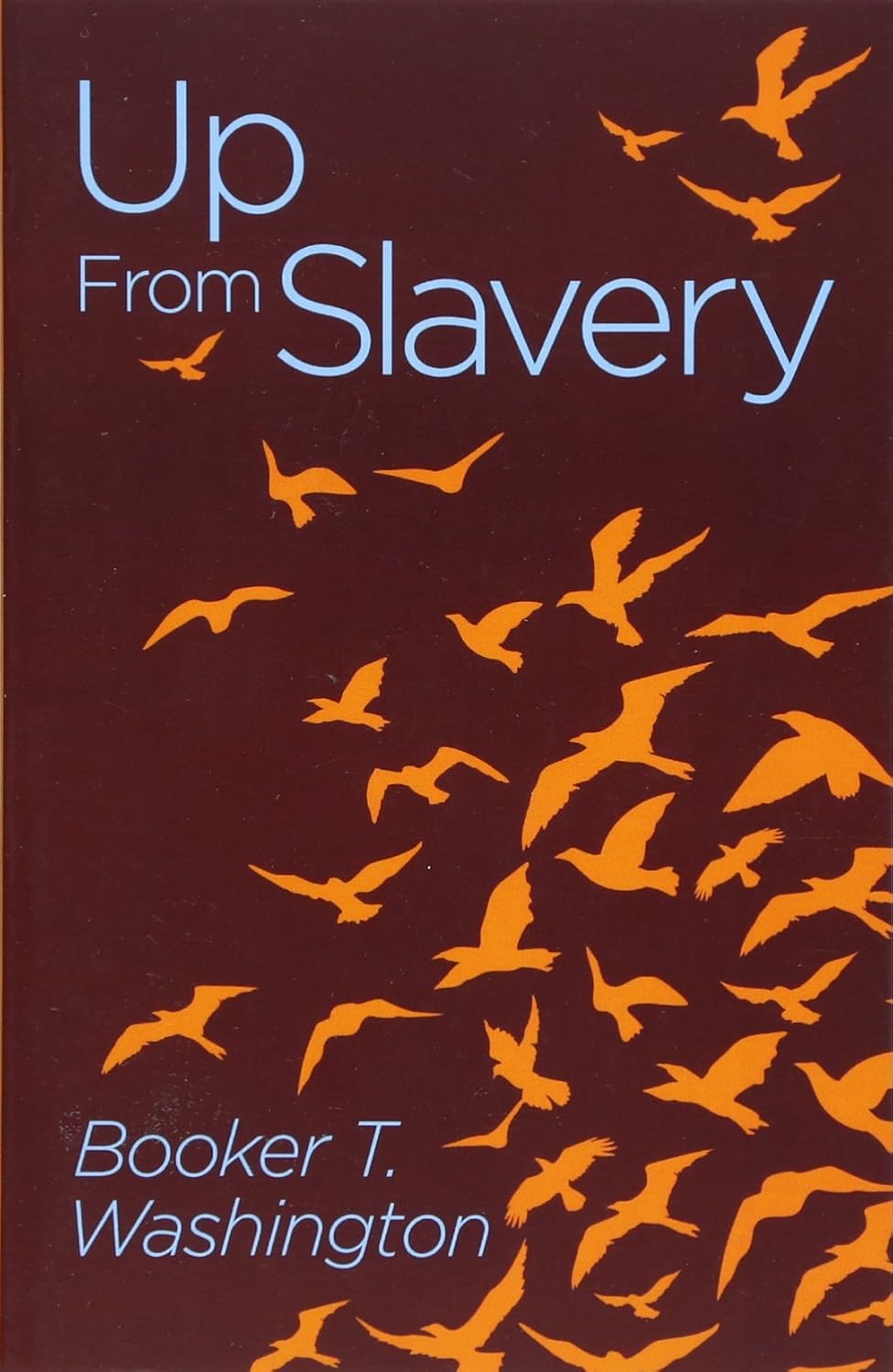 Up from slavery