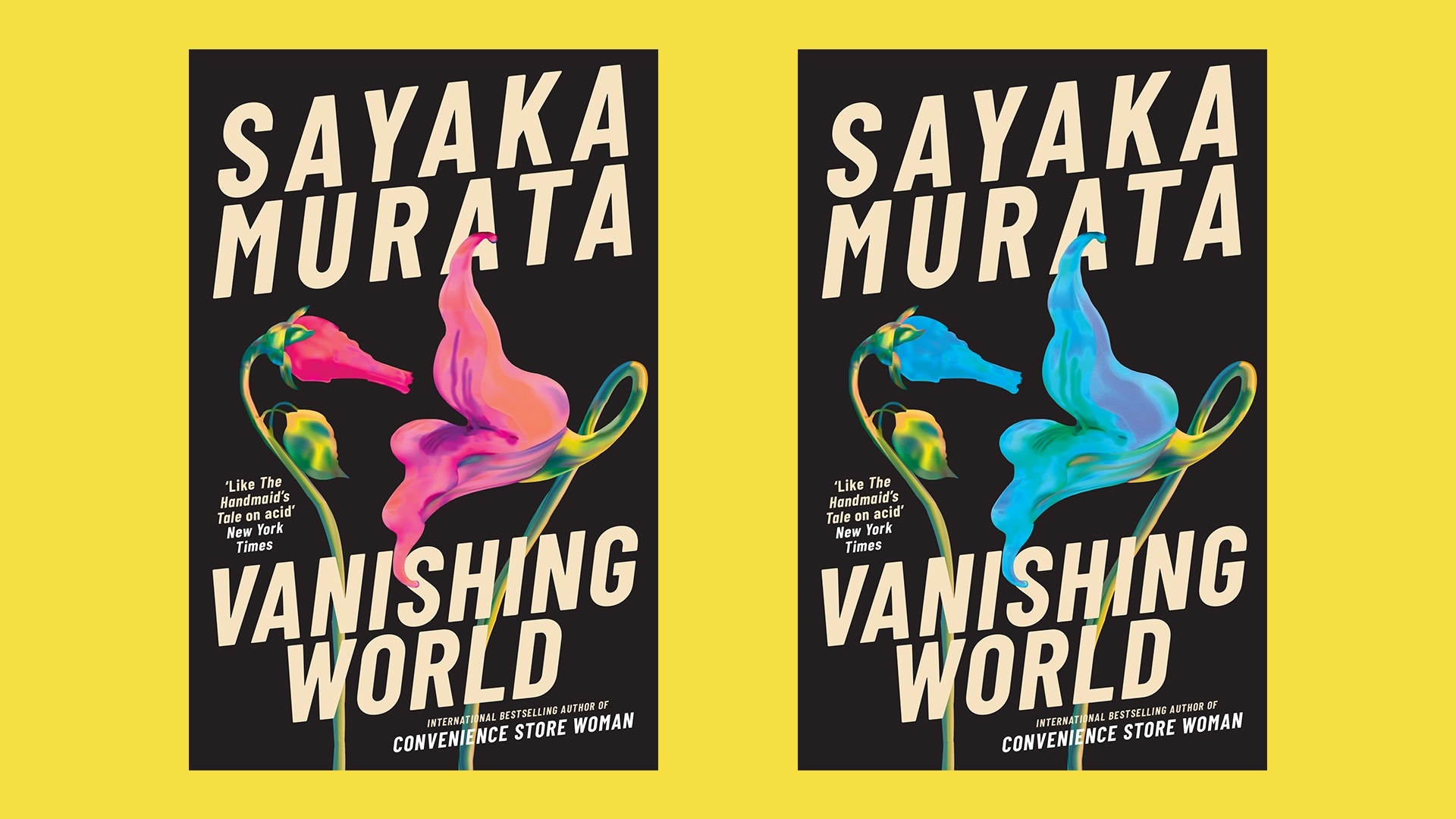Vanishing World