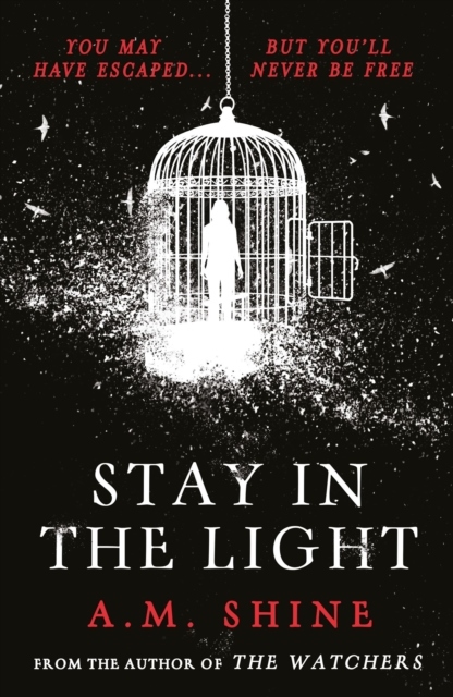 Stay in the Light
