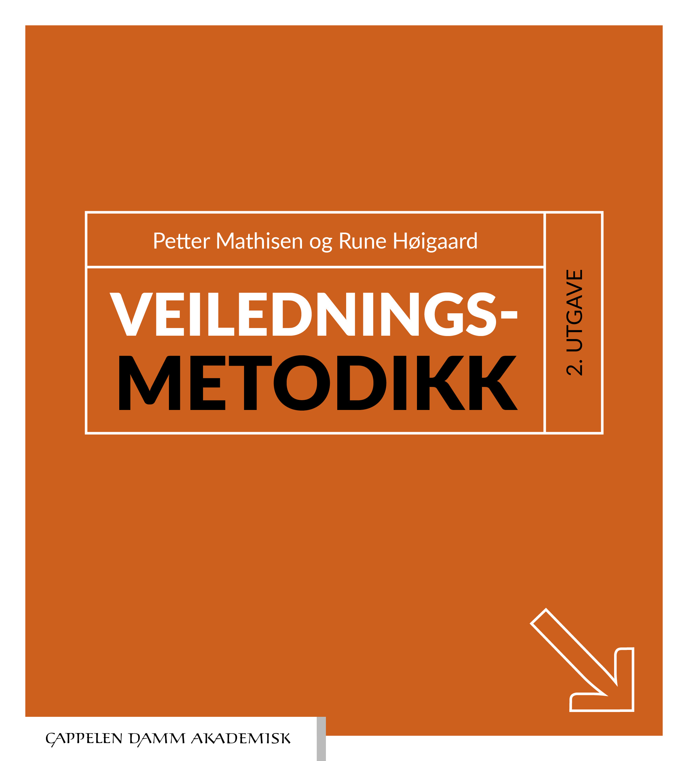 Veiledningsmetodikk : en håndbok i praktisk veiledningsarbeid