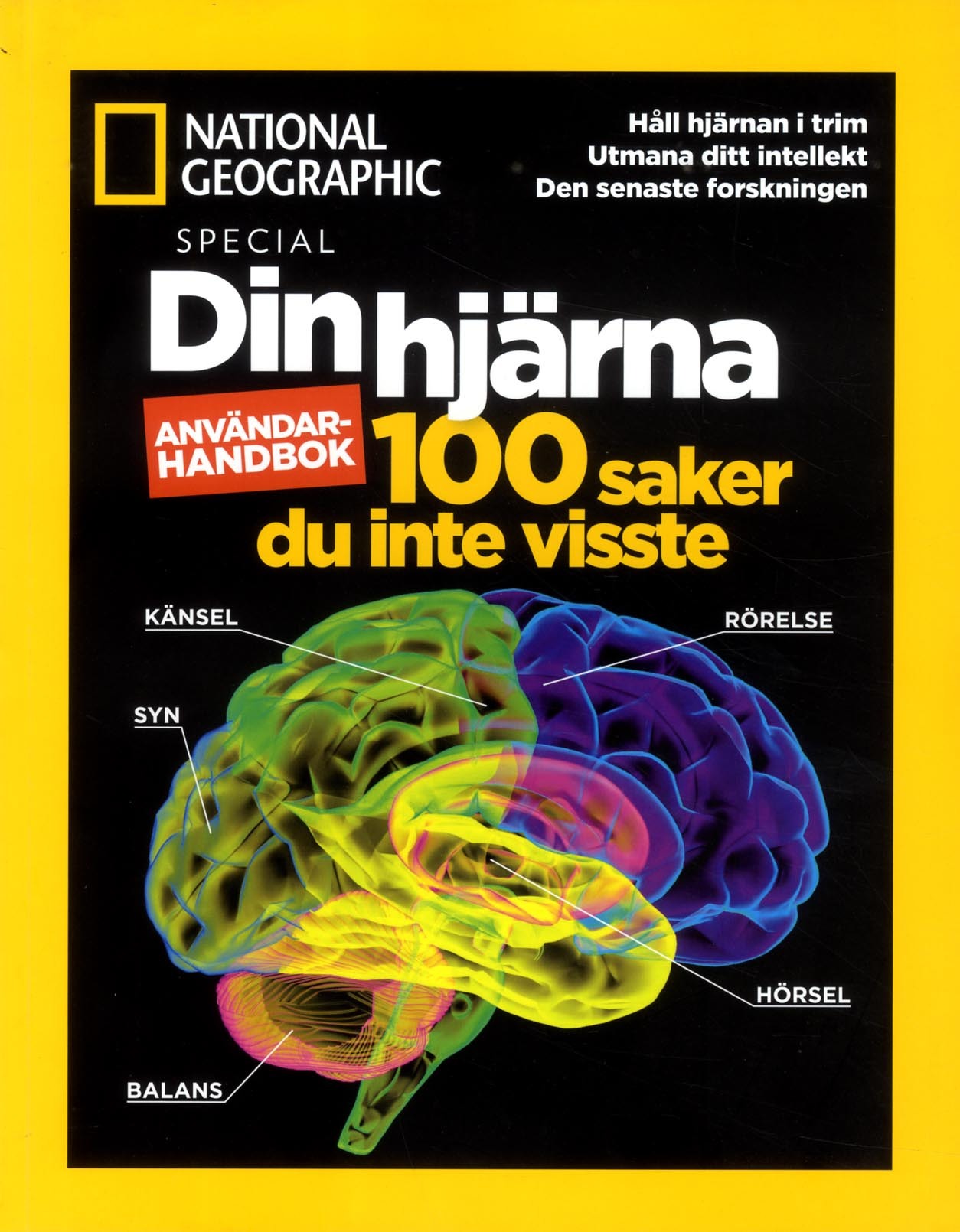 Din Hjärna