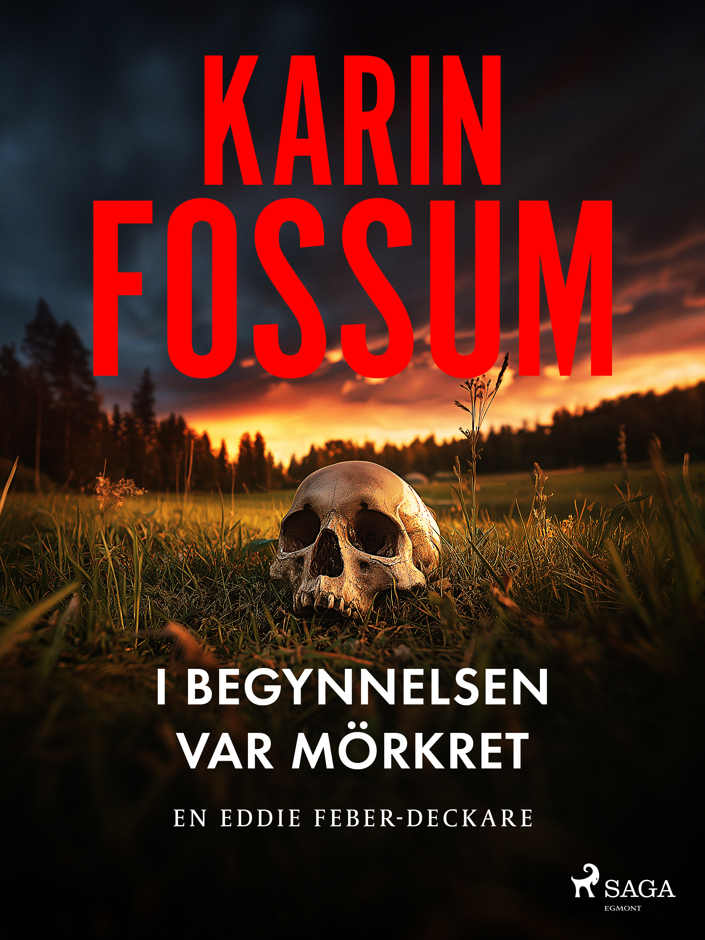 I begynnelsen var mörkret