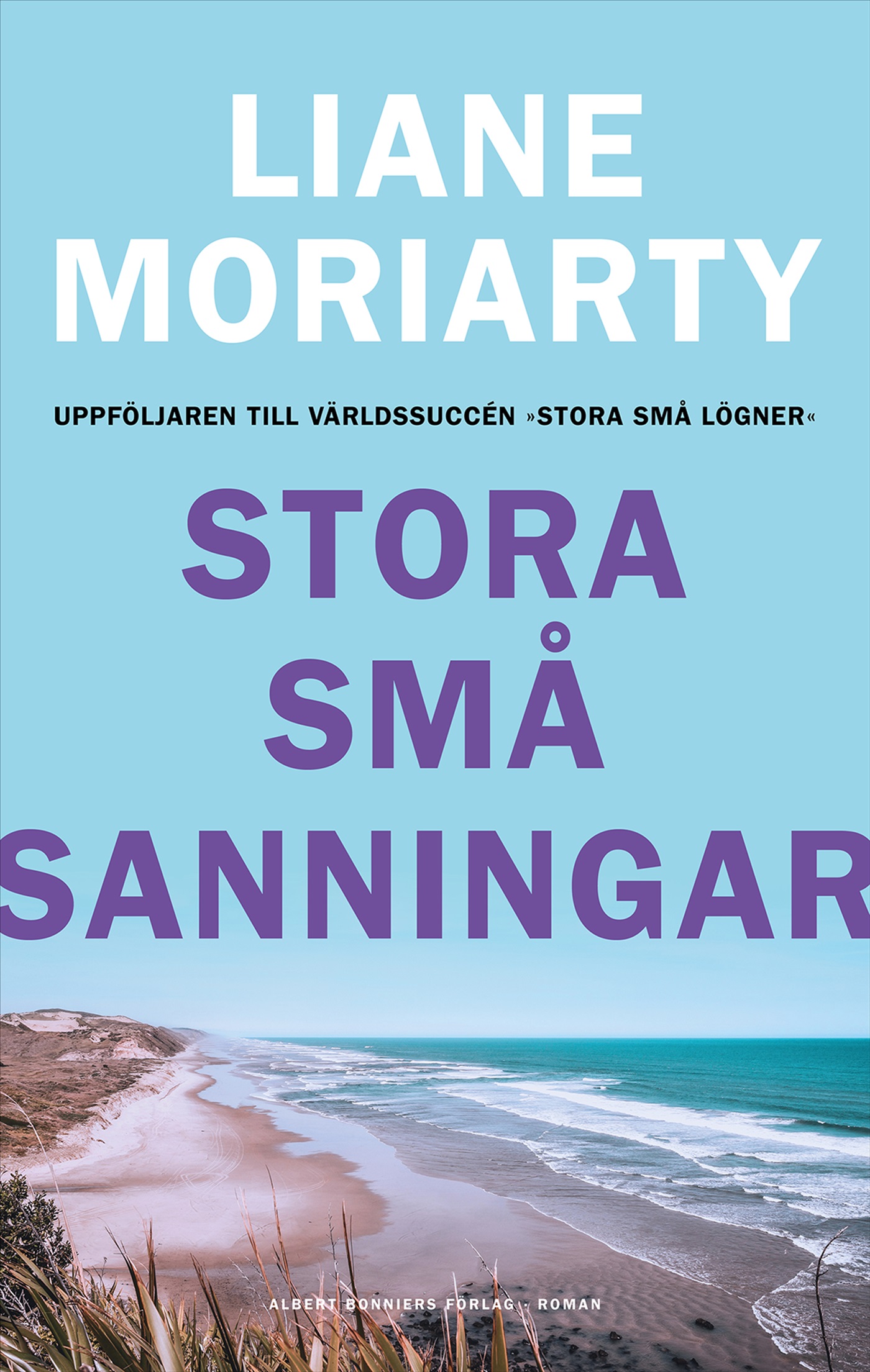 Stora små sanningar