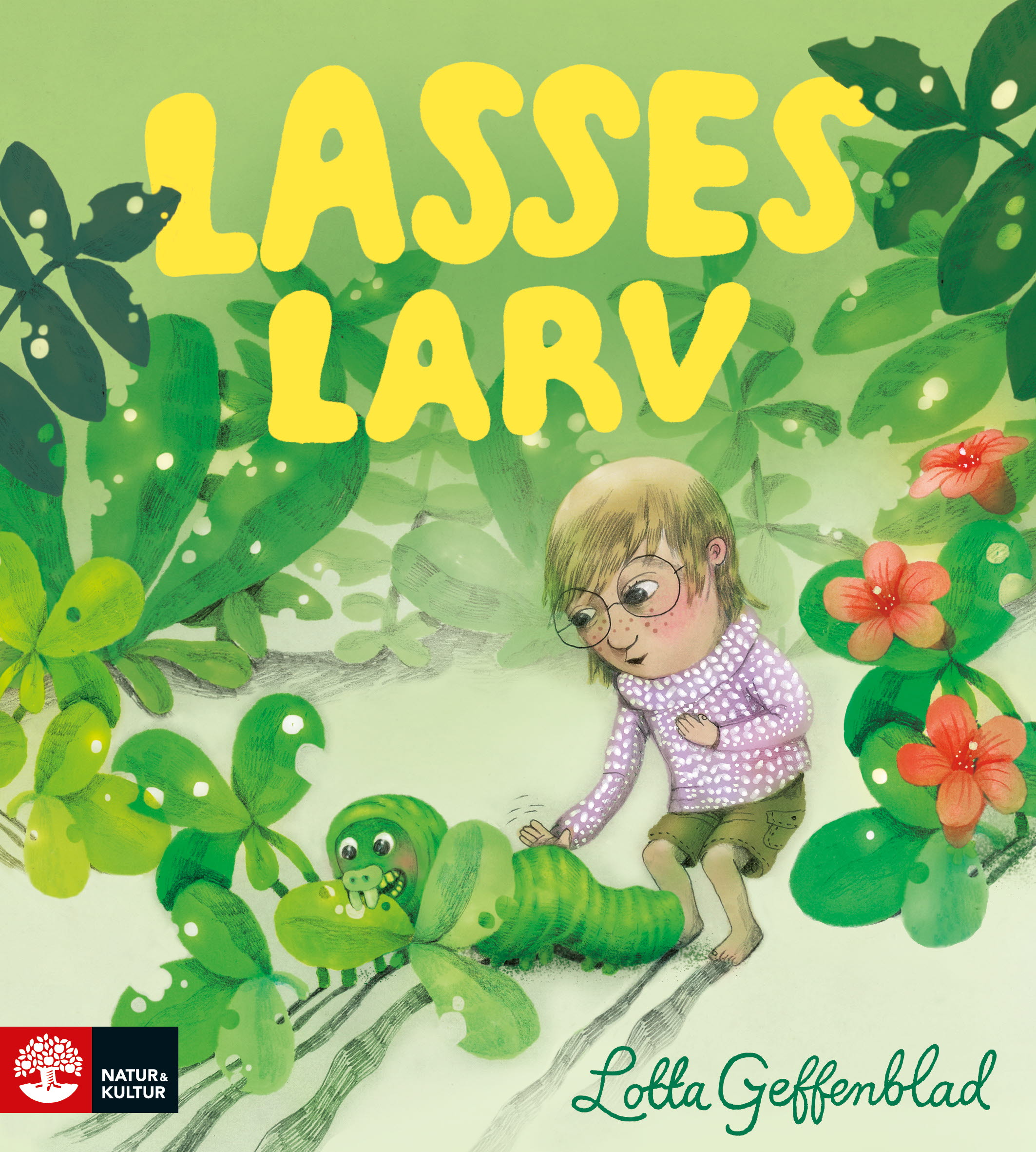 Lasses larv