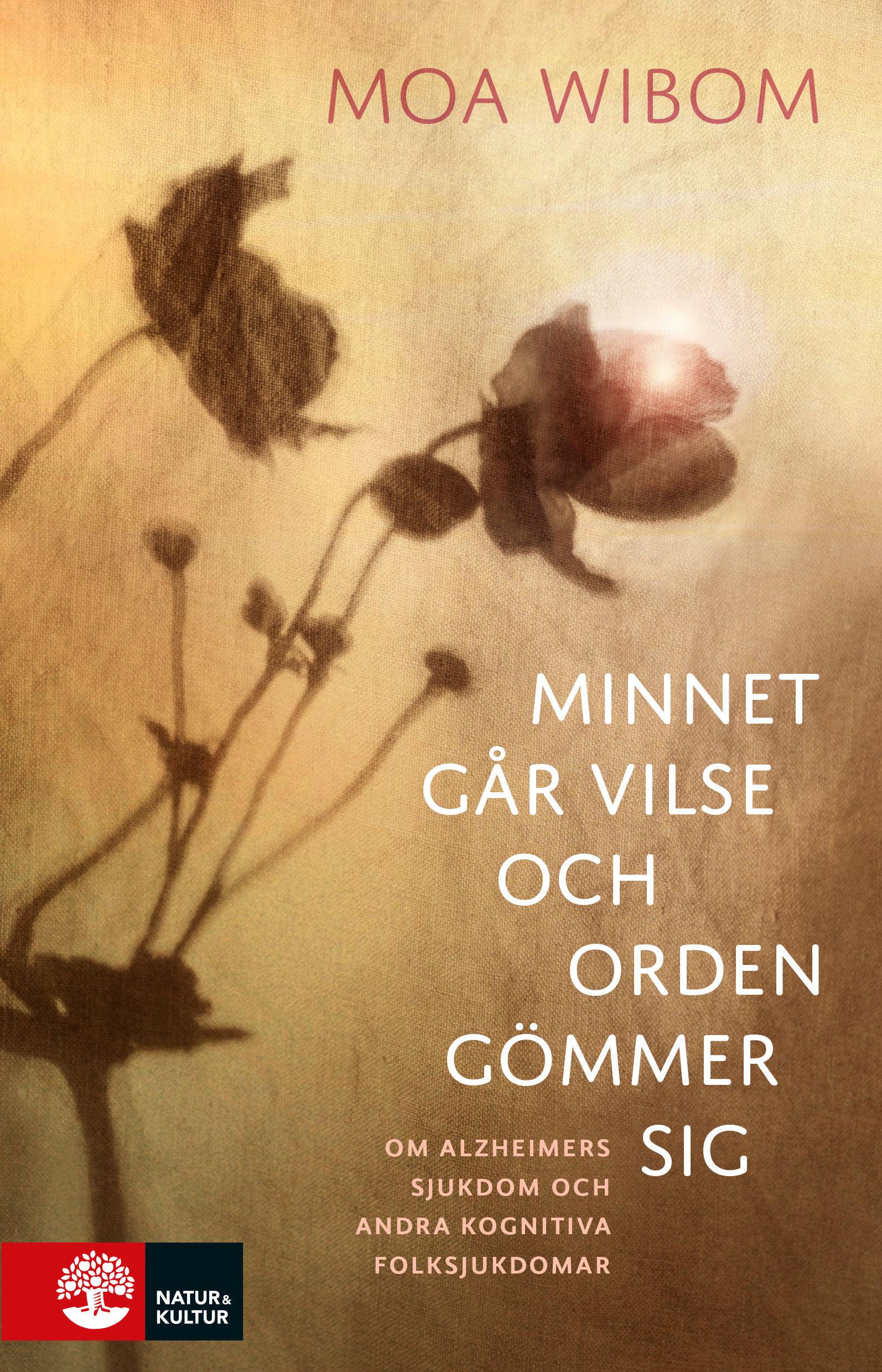 Minnet går vilse och orden gömmer sig : Om Alzheimers sjukdom och andra kognitiva folksjukdomar