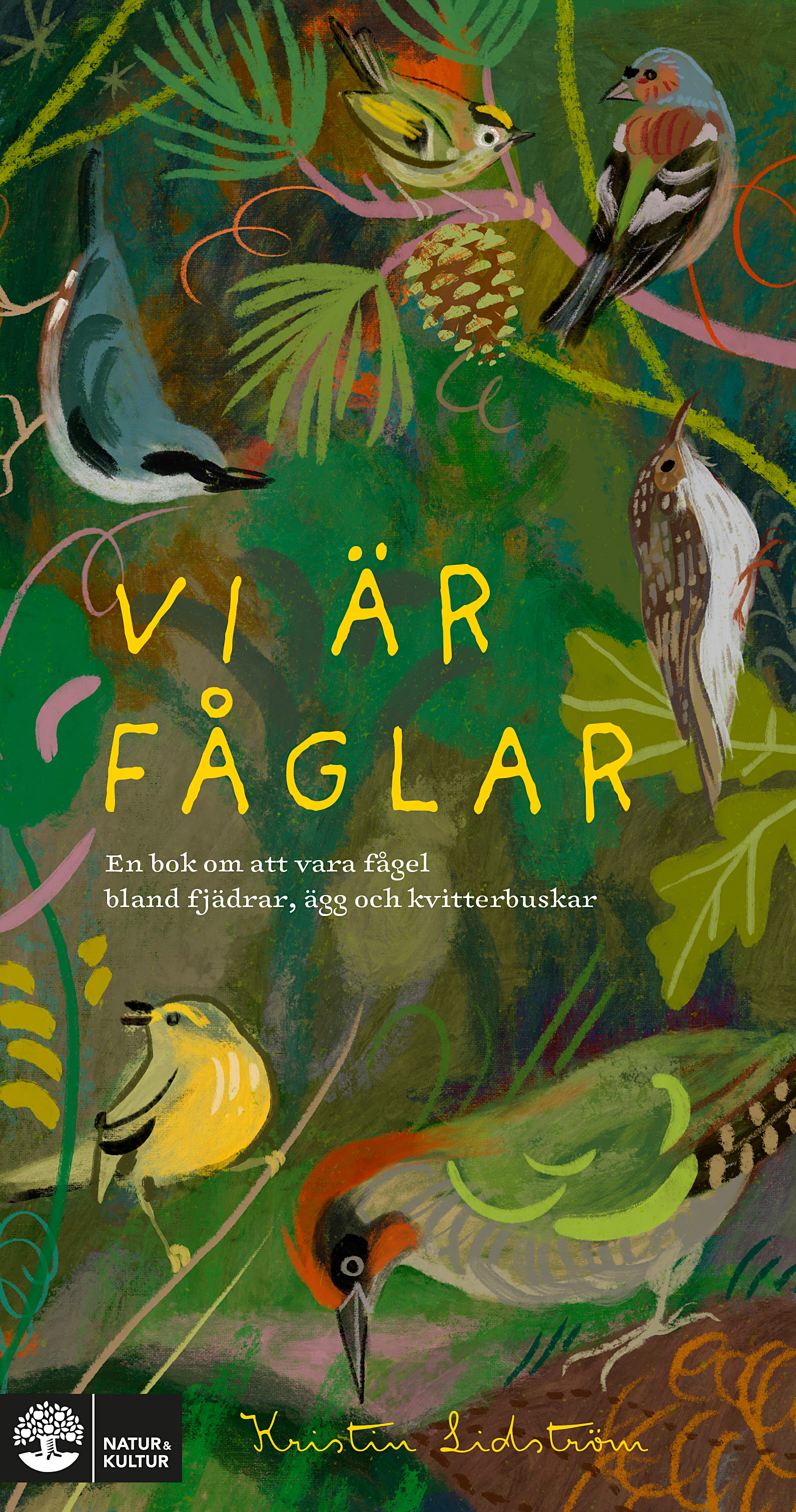 Vi är fåglar : en bok om att vara fågel bland fjädrar, ägg och kvitterbuskar