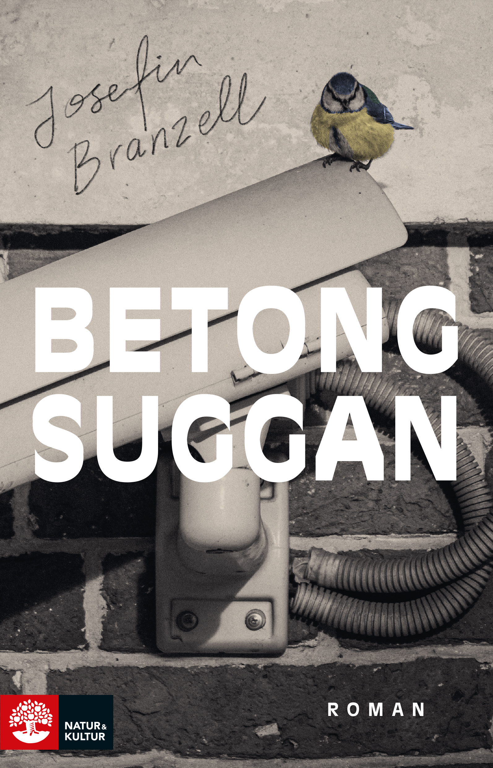 Betongsuggan