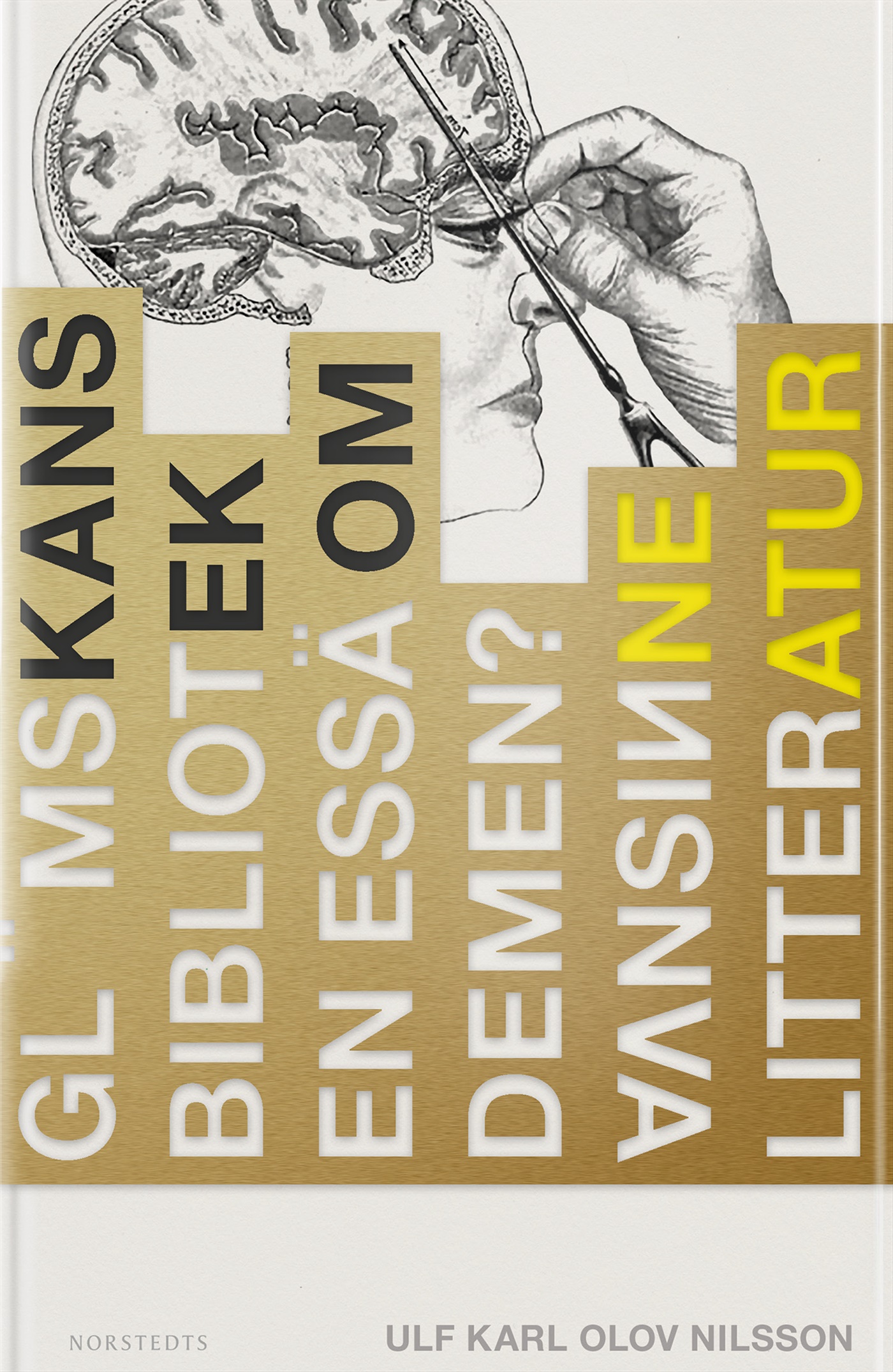 Glömskans bibliotek : en essä om demens, vansinne, litteratur