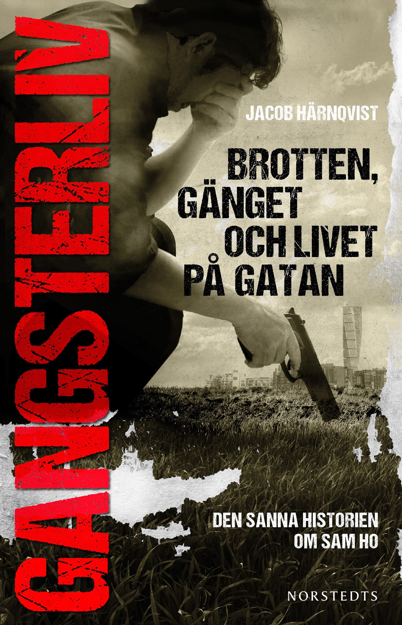 Gangsterliv : brotten, gänget och livet på gatan - den sanna historien om Sam Ho