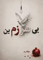 Bī-sarzamīn